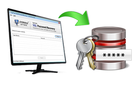 SQL Password Reset Box Image