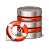 Recover SQL Server Database