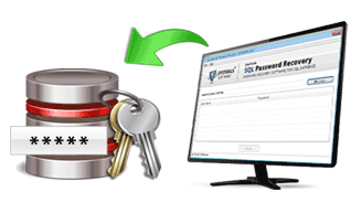 SQL Password Reset