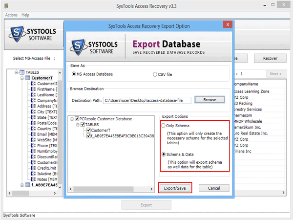 Export with Schema options