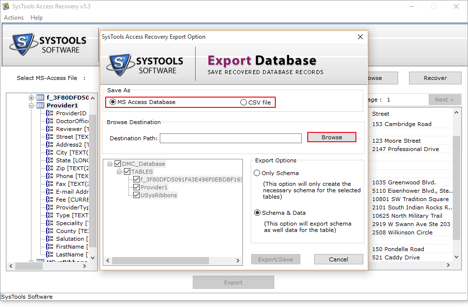 Recover Access Database