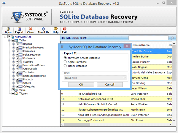select option to export Sqlite database